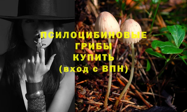 mdpv Абдулино