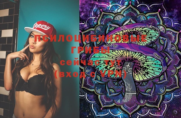 мяу мяу мука Абинск