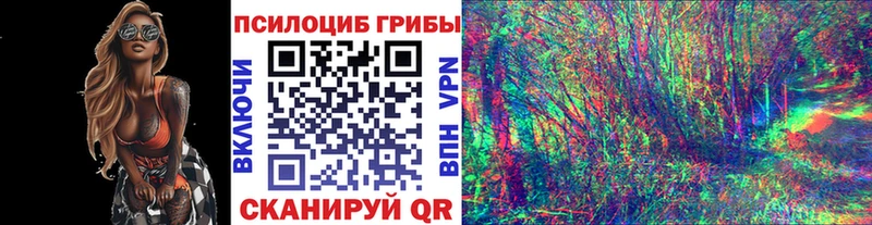 даркнет сайт  Батайск  Псилоцибиновые грибы Cubensis 